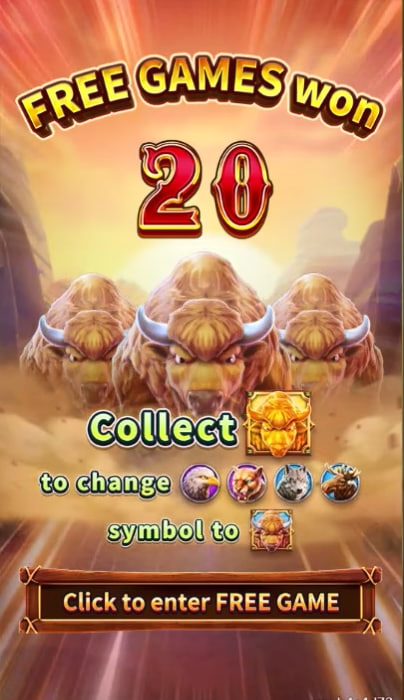 Zebras para apostar amanhã