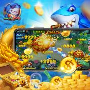 Bet365 apk