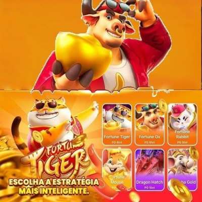 Qual o melhor horário para jogar aviator