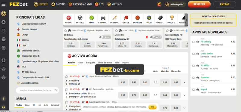 Mega downloader download